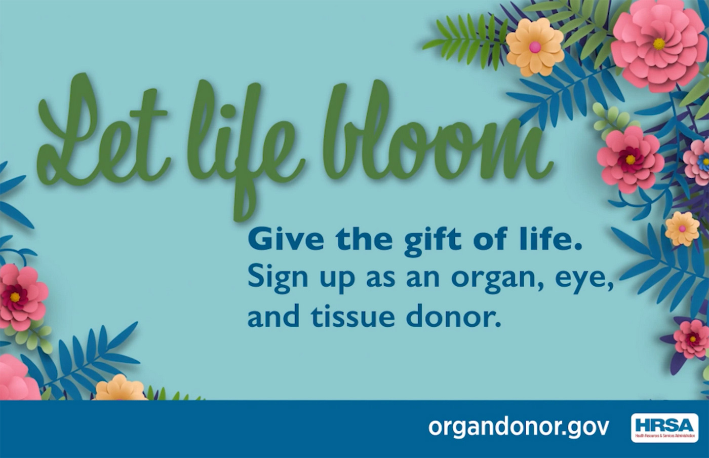 Let Life Bloom Organ and Tissue Donation Turn a Time of Loss into a