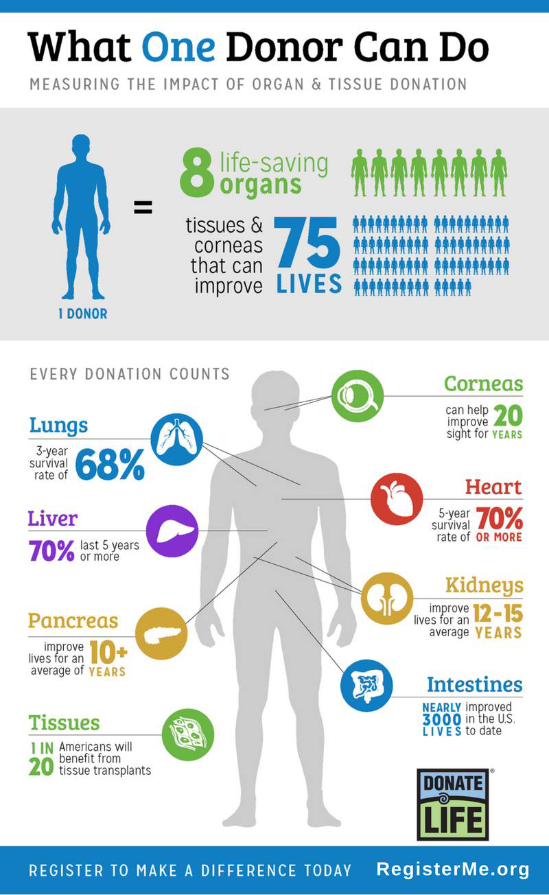 Organ Donation Infographic