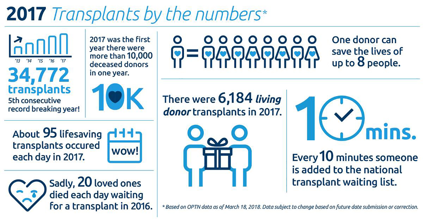 Transplants by the Numbers Infographic