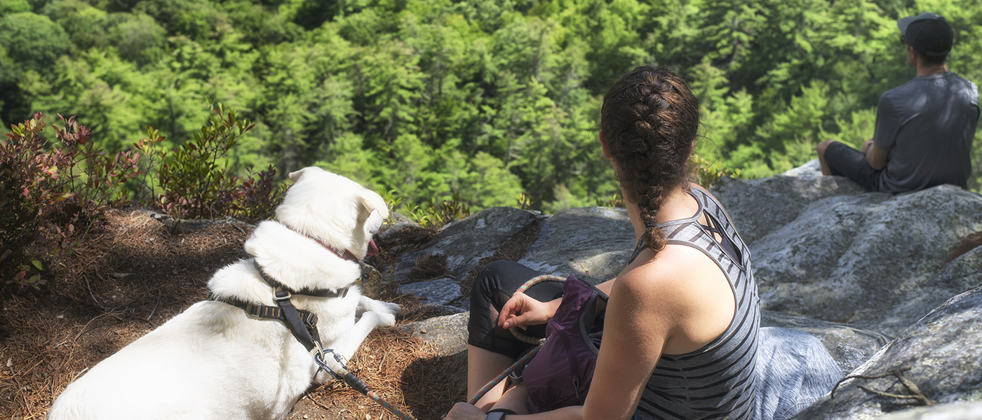 Girl in 20s with hiking gear & dog look down from a Rocky Mountain ledge at pine forest below