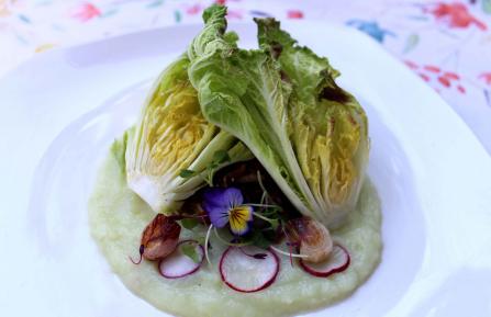Kohlrabi puree with broiled Napa cabbage on a plate