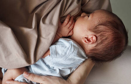 A baby nuzzles into their mother