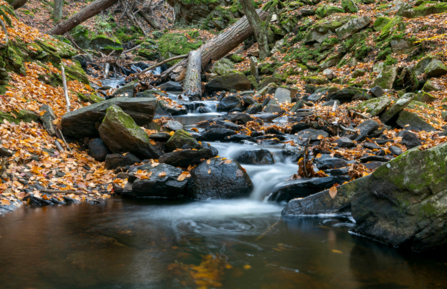 A brook on Cheshire campus rushing in fall