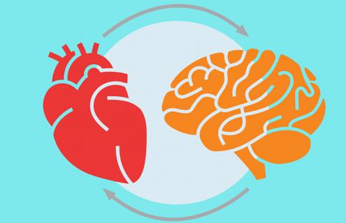 A cartoon heart and brain depicted next to one another, with an arcing arrow pointing from the heart to the brain, and another arrow from the brain to the heart