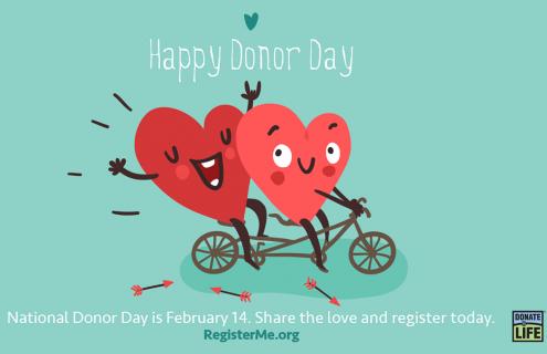 Illustration for Donor Day of two hearts together