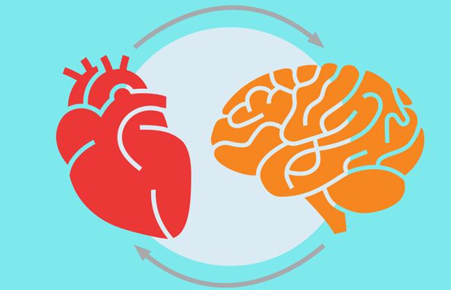 A cartoon heart and brain depicted next to one another, with an arcing arrow pointing from the heart to the brain, and another arrow from the brain to the heart