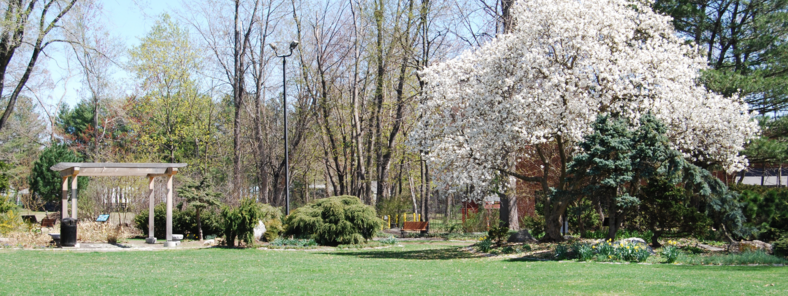 Ashuelot park in Keene